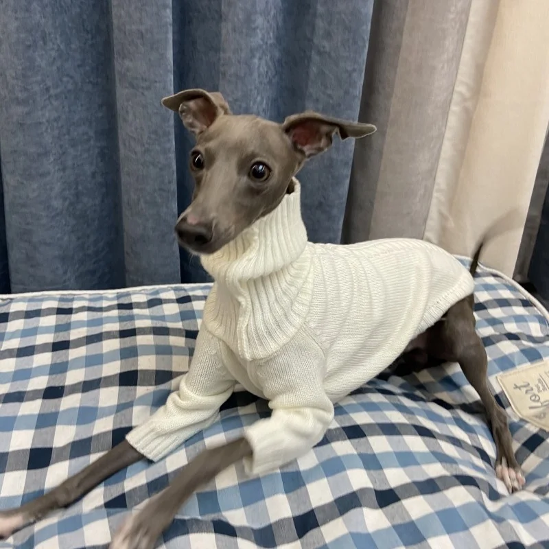 Chaqueta beige para perras