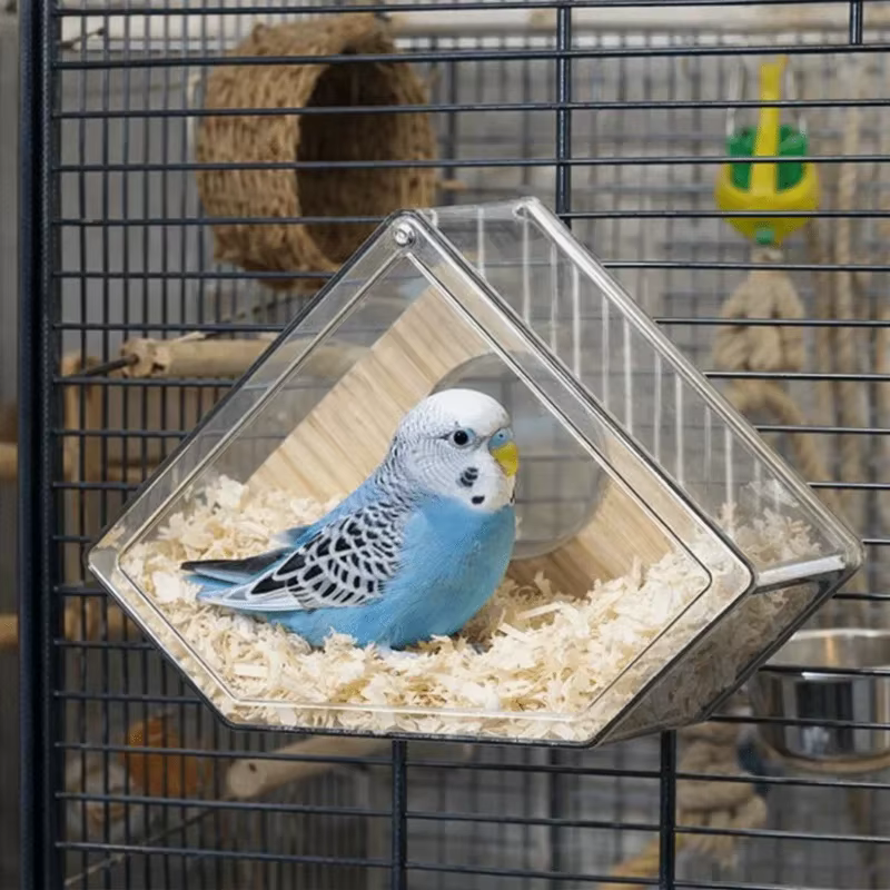 Caja nido transparente para loros y aves – Montaje exterior - imagen 2