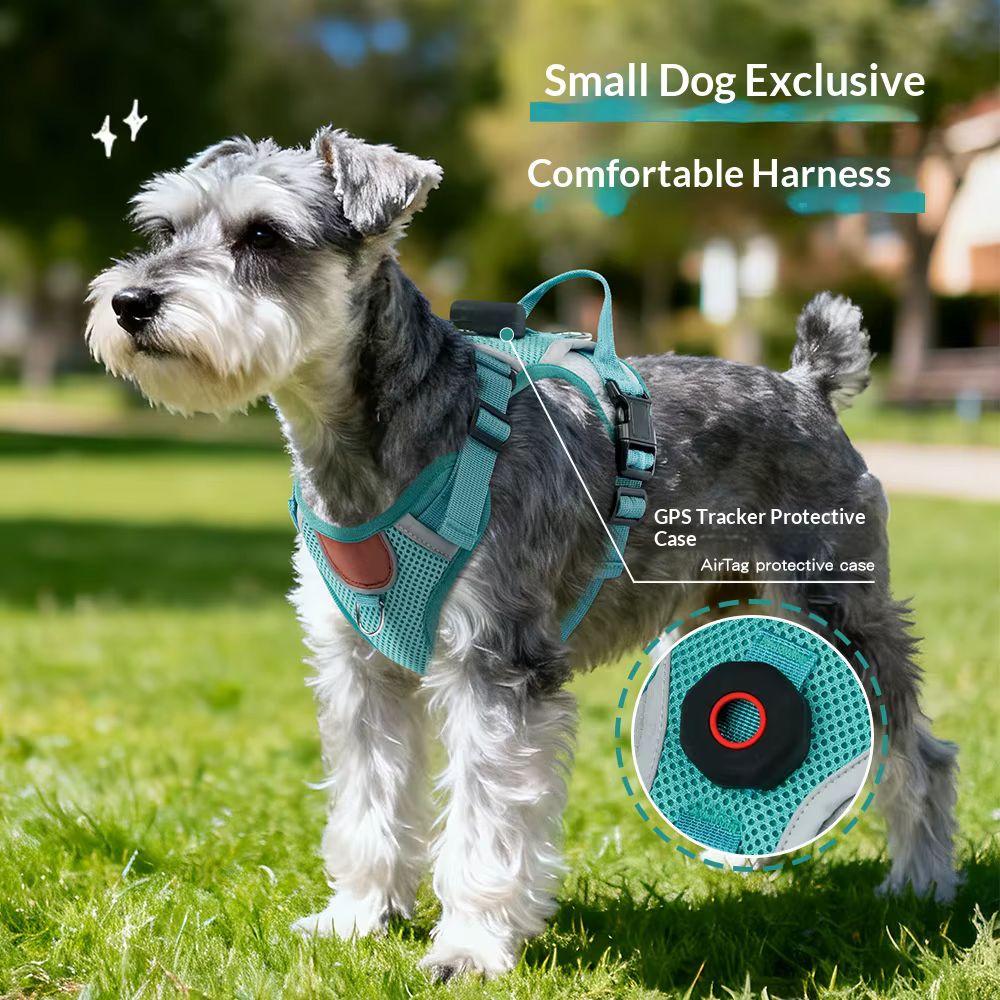 Arnés antipérdida con bolsillo GPS para perros pequeños y medianos