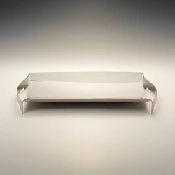 Bandeja rectangular acero inoxidable espejo para gatos y perros