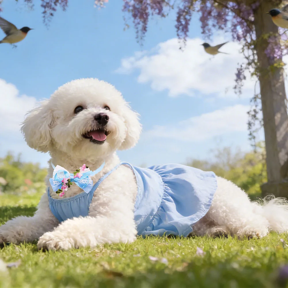 Uso práctico en mascota