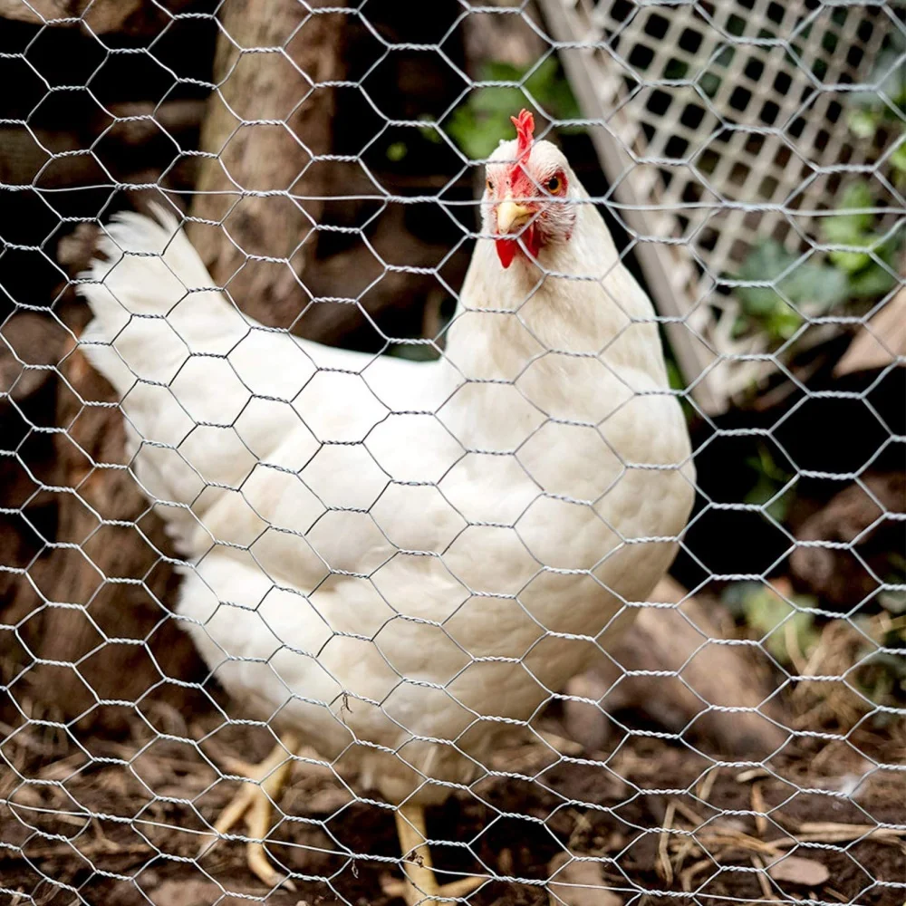 Malla electrosoldada para gallinero y valla de animales - imagen 3