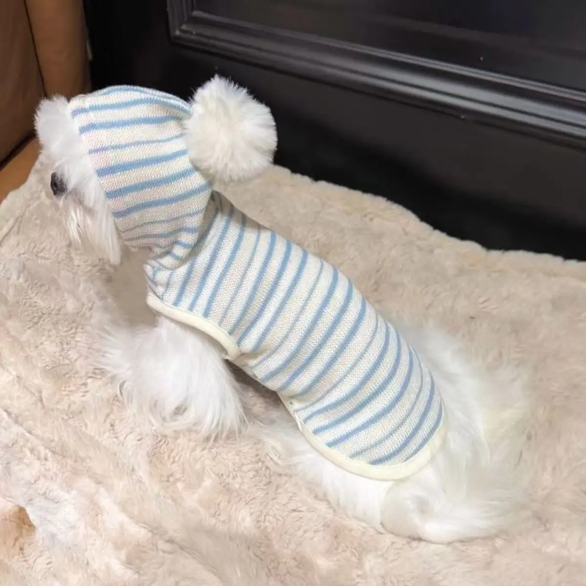 Sudadera con capucha a rayas para Yorkshire, Schnauzer y gato - imagen 2