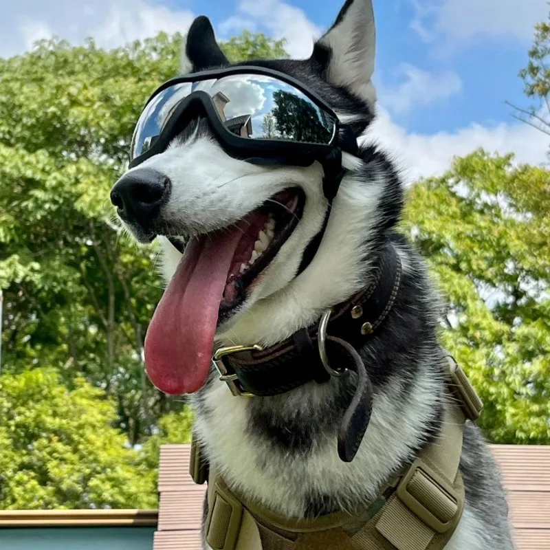 Gafas de sol para perros UV: antipolvo y antiviento - imagen 4