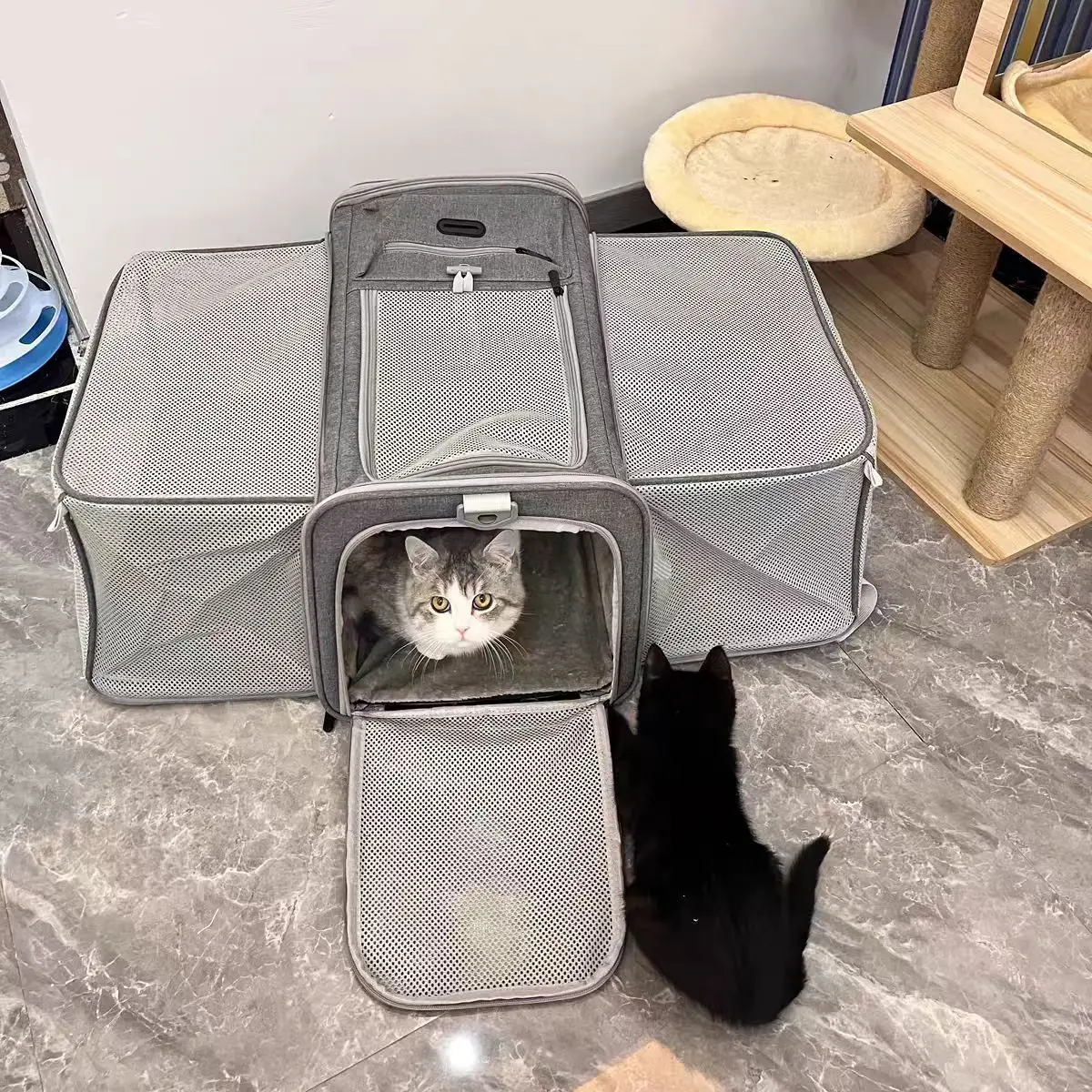 Bolsa de transporte para gatos y perros pequeños, expandible - imagen 2