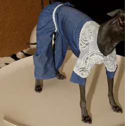 Ropa de verano para perros: mono Tencel con encaje galgo italiano