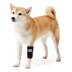 Rodillera compresiva para rodilla de perro con varilla de soporte