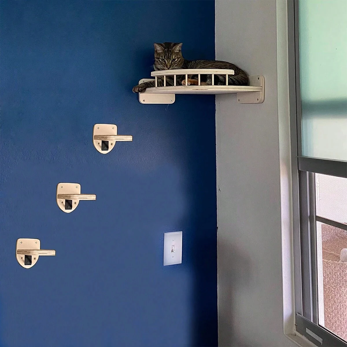 Hamaca y perchas para gatos
