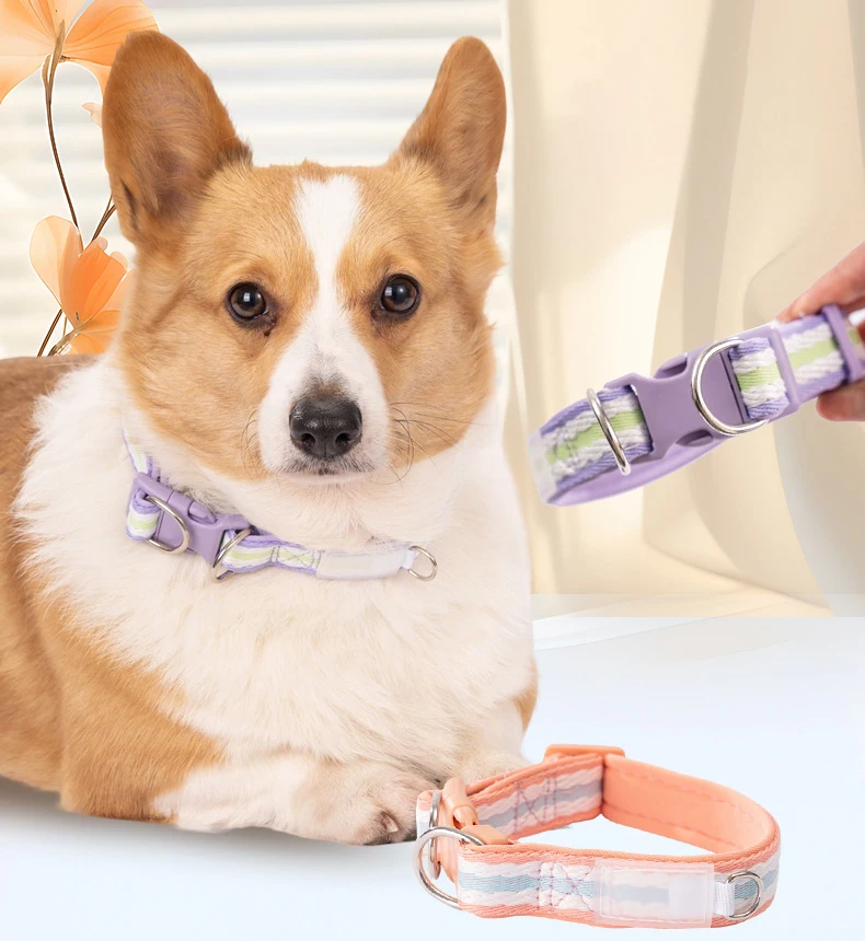 Detalle del cierre ajustable del collar para perros