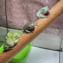 Tronco de corcho DIY para terrario de geckos y reptiles