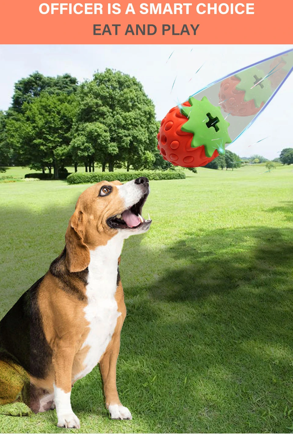 Perro jugando con el juguete
