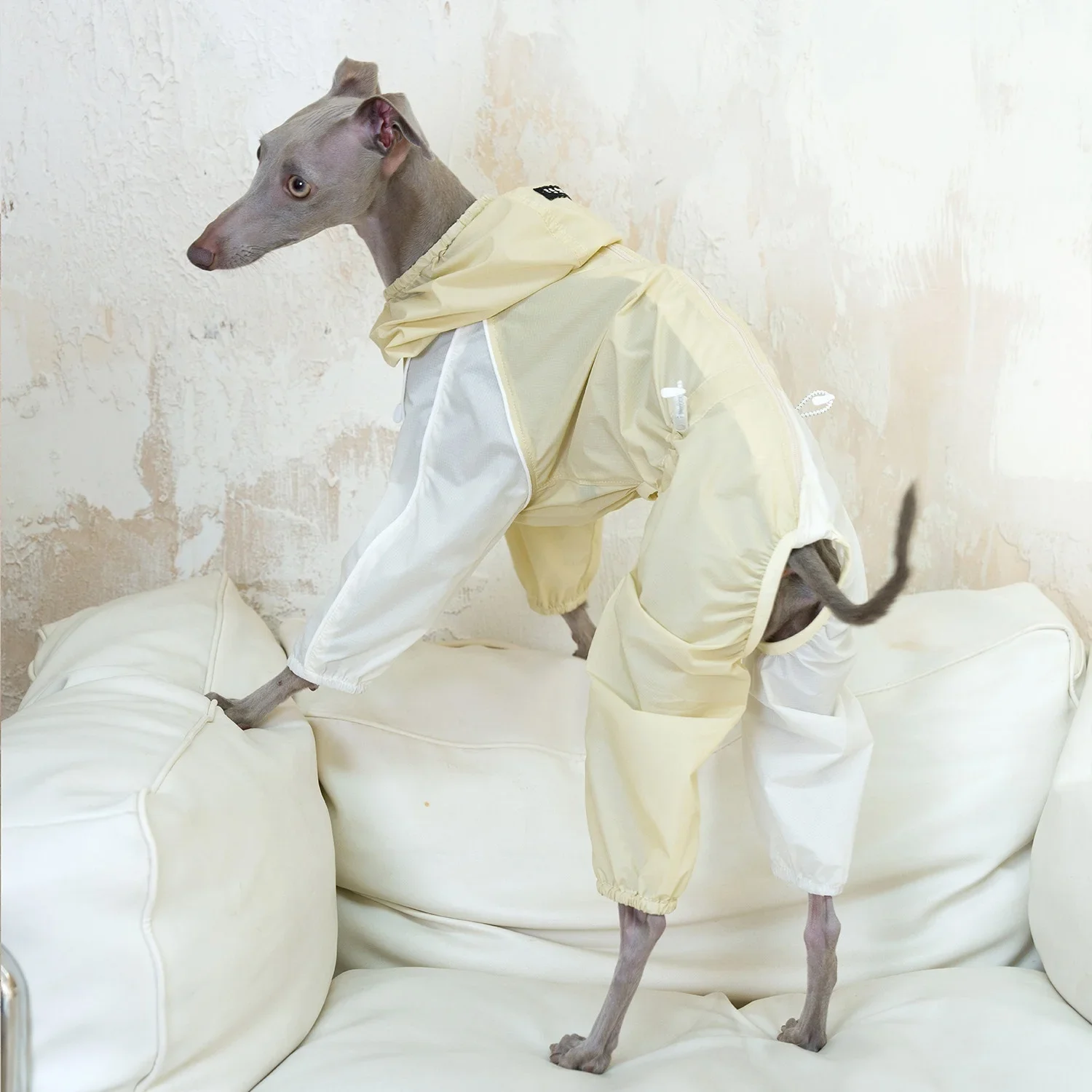 Traje impermeable UPF50+ ligero para galgo italiano, perro