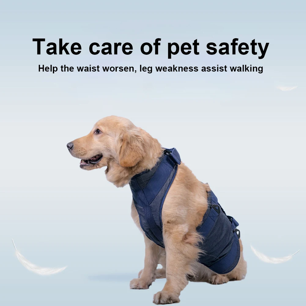 Arnés azul para perros mayores visto de frente