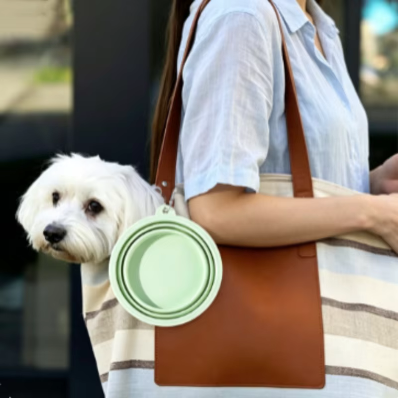 Tazón Plegable Portátil para Perros y Gatos – Plato Viaje 350 ml - imagen 3