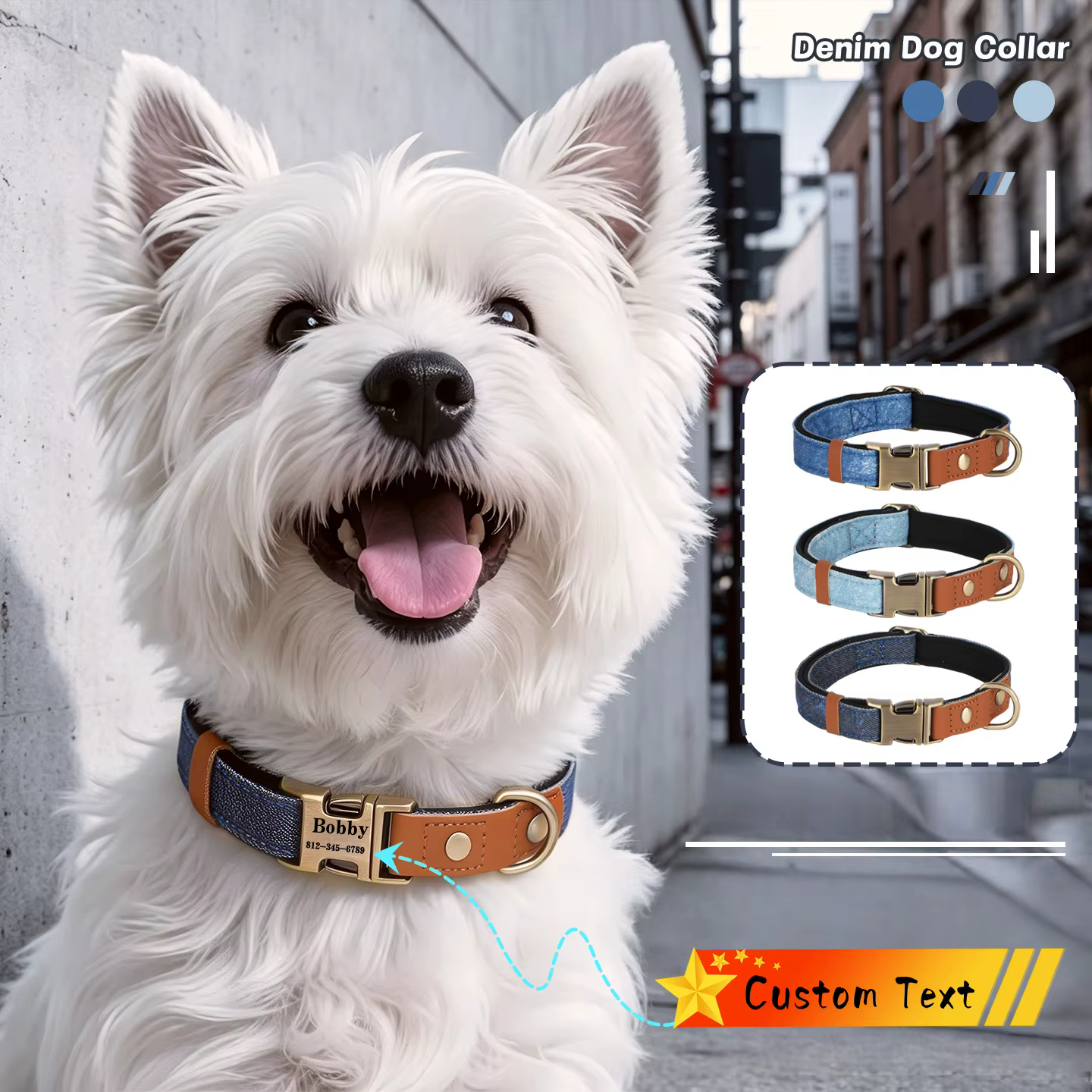 Collar de perro con nombre personalizado – grabado y ajustable