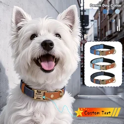 Collar de perro con nombre personalizado – grabado y ajustable