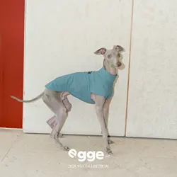 Chaleco refrigerante para galgos italianos y Whippets