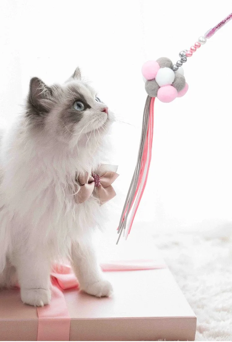 Juguete dental para gatos con varita y borla