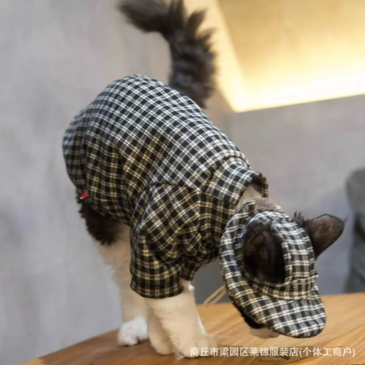 Ropa cálida para gatos Sphynx y Devon Rex con sombrero pescador - imagen 3