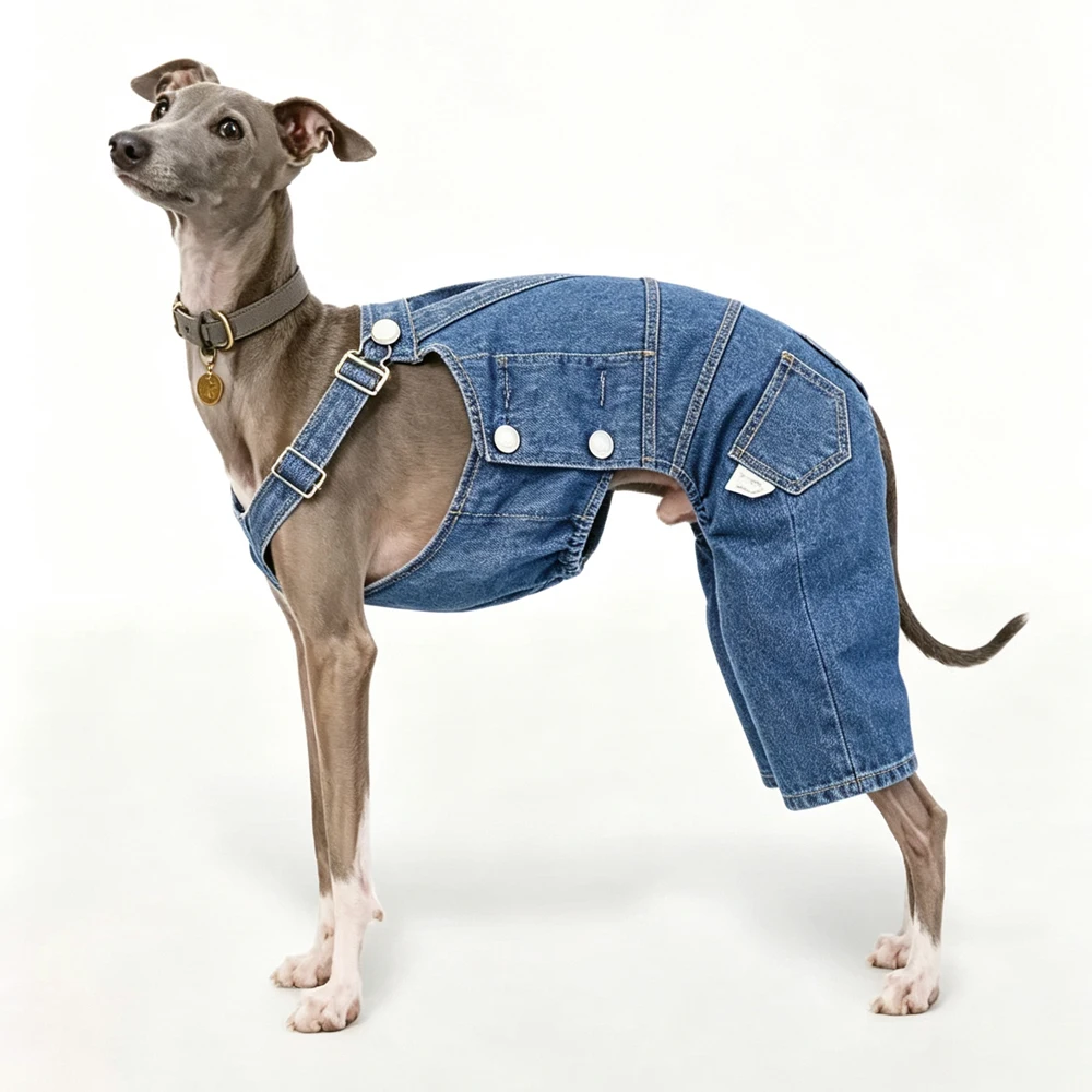 Pantalones vaqueros ajustables para perros – Moda primavera Galgo Italiano Whippet - imagen 2