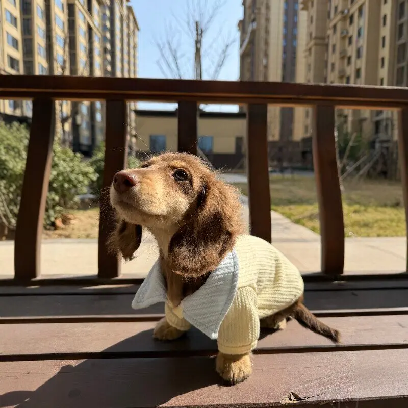 Chaqueta de punto cálida para paseos de otoño e invierno