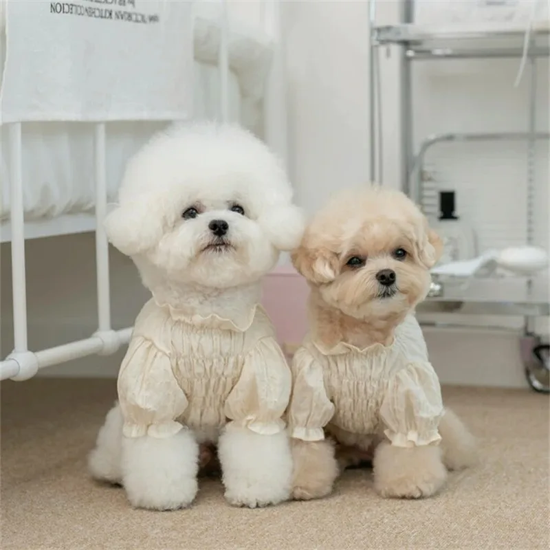 Ropa de manga corta para perros y gatos