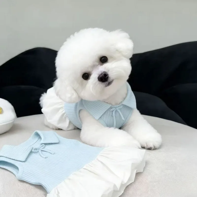 Vestido de verano sin mangas para perros pequeños Teddy y Pomerania - imagen 5