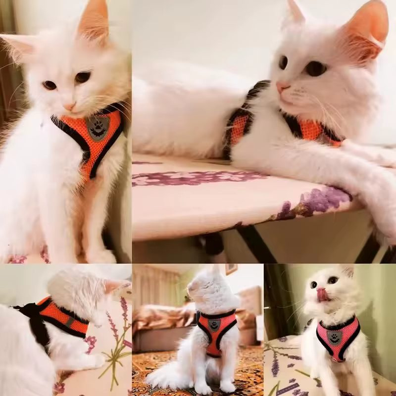 Conjunto reflectante de arnés y correa para gatos y perros pequeños - imagen 2