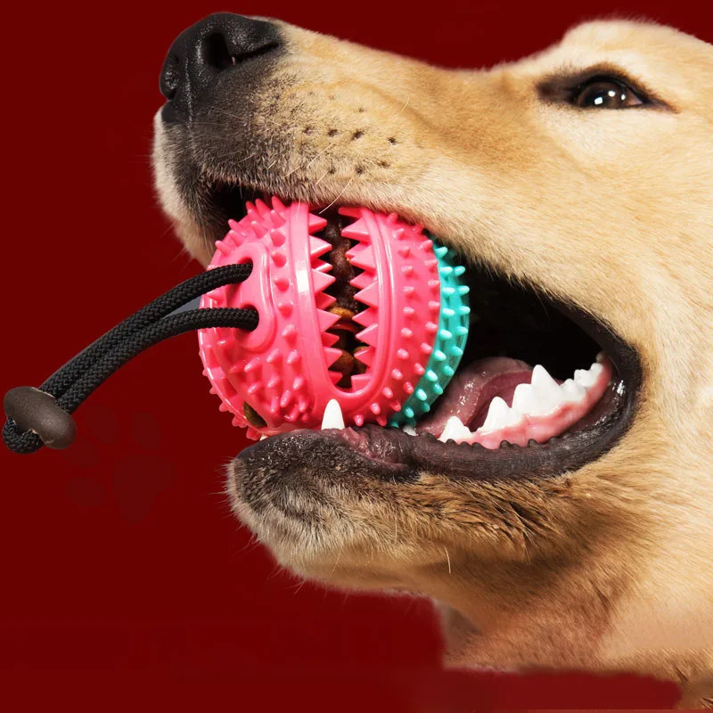 Juguete masticable para perros con campana y pelota dispensadora - imagen 2
