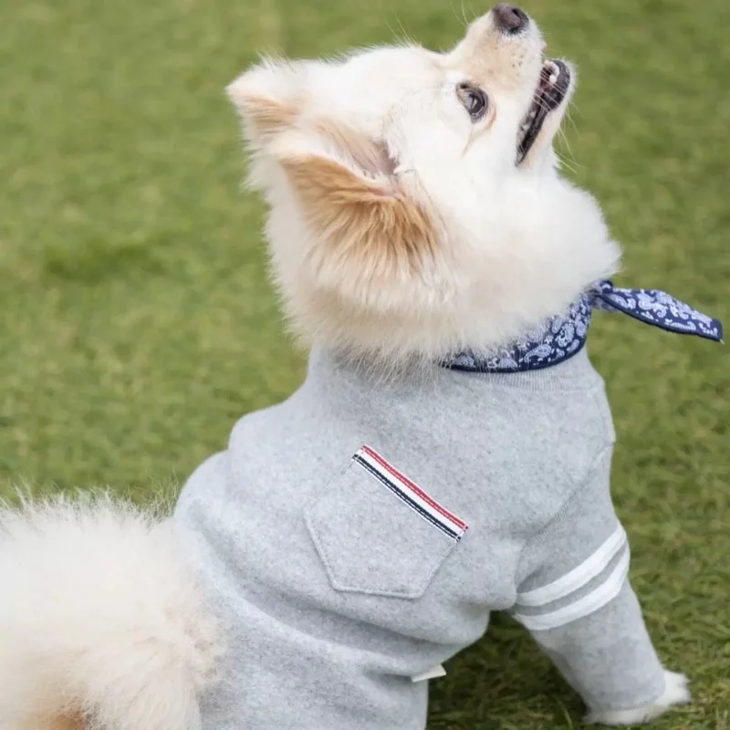 Sudadera con capucha para perros y gatos – Ropa otoñal Chihuahua