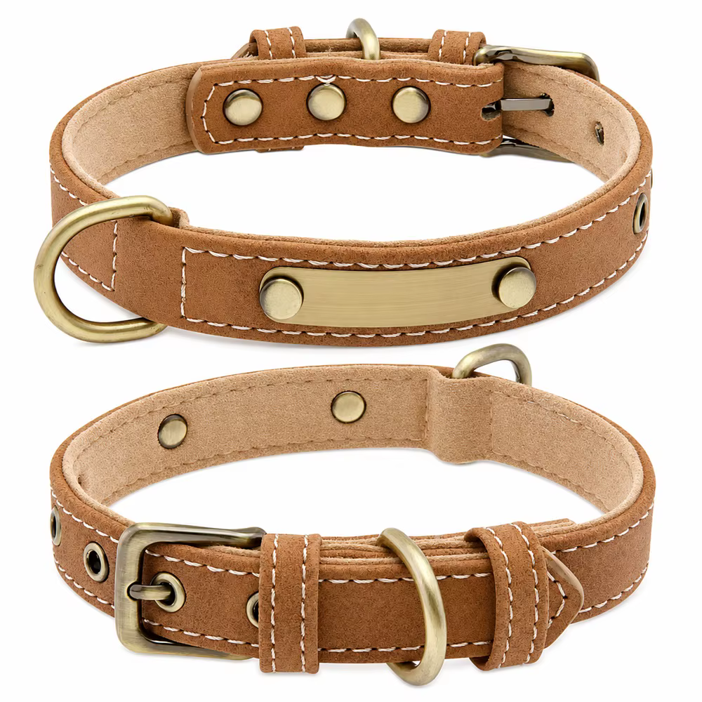 Collar cuero personalizado perro con placa latón y correa acolchada