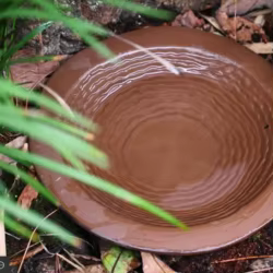 Recipiente de agua para tortugas con base y diseño dividido terrario