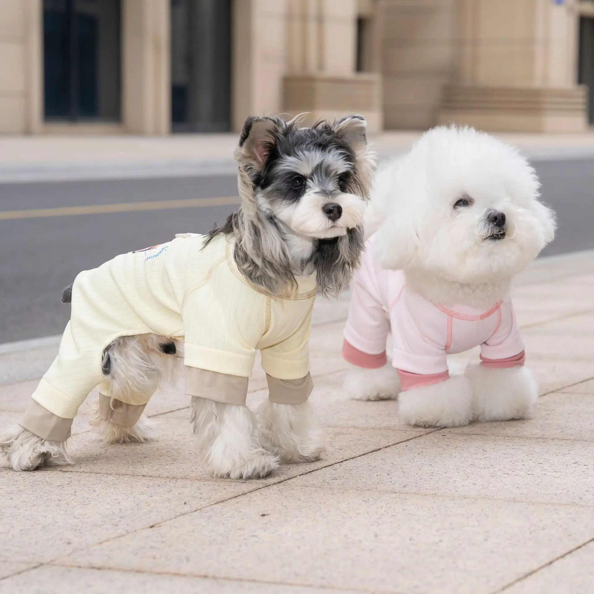 Mono ligero para perros pequeños de primavera y verano - imagen 3