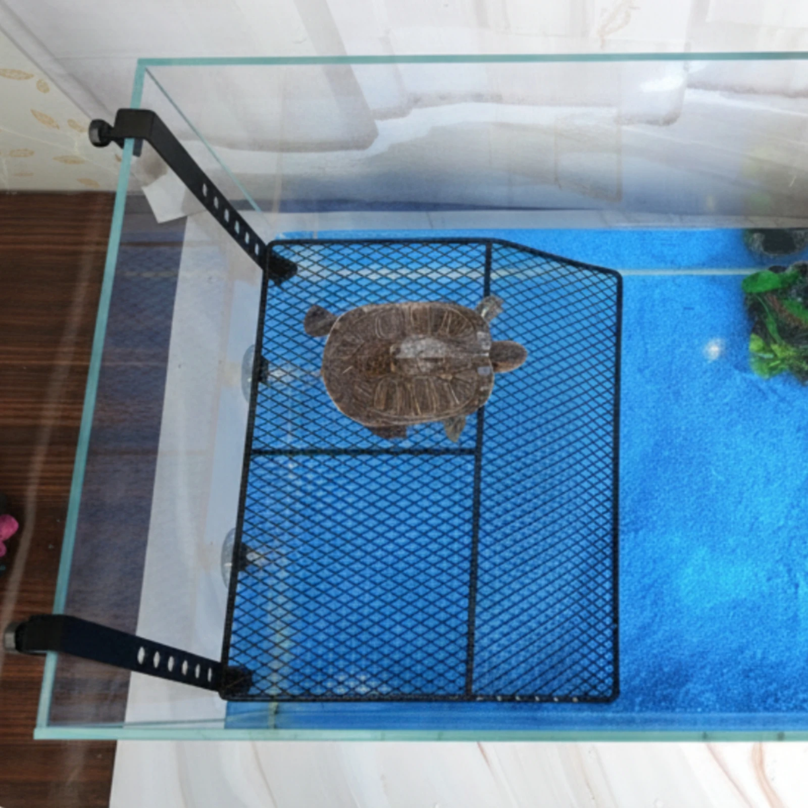 Rampa Plataforma para Tortugas Acuáticas – Antideslizante y Resistente - imagen 3
