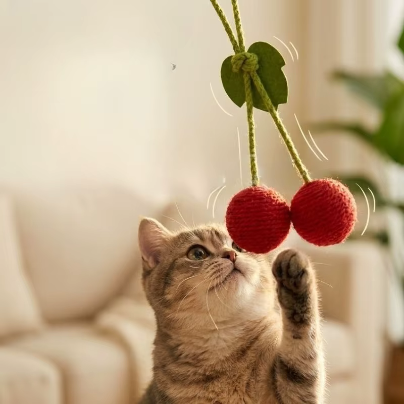Pelota chirriante para gatos – Resistente a mordiscos y limpia dientes - imagen 4