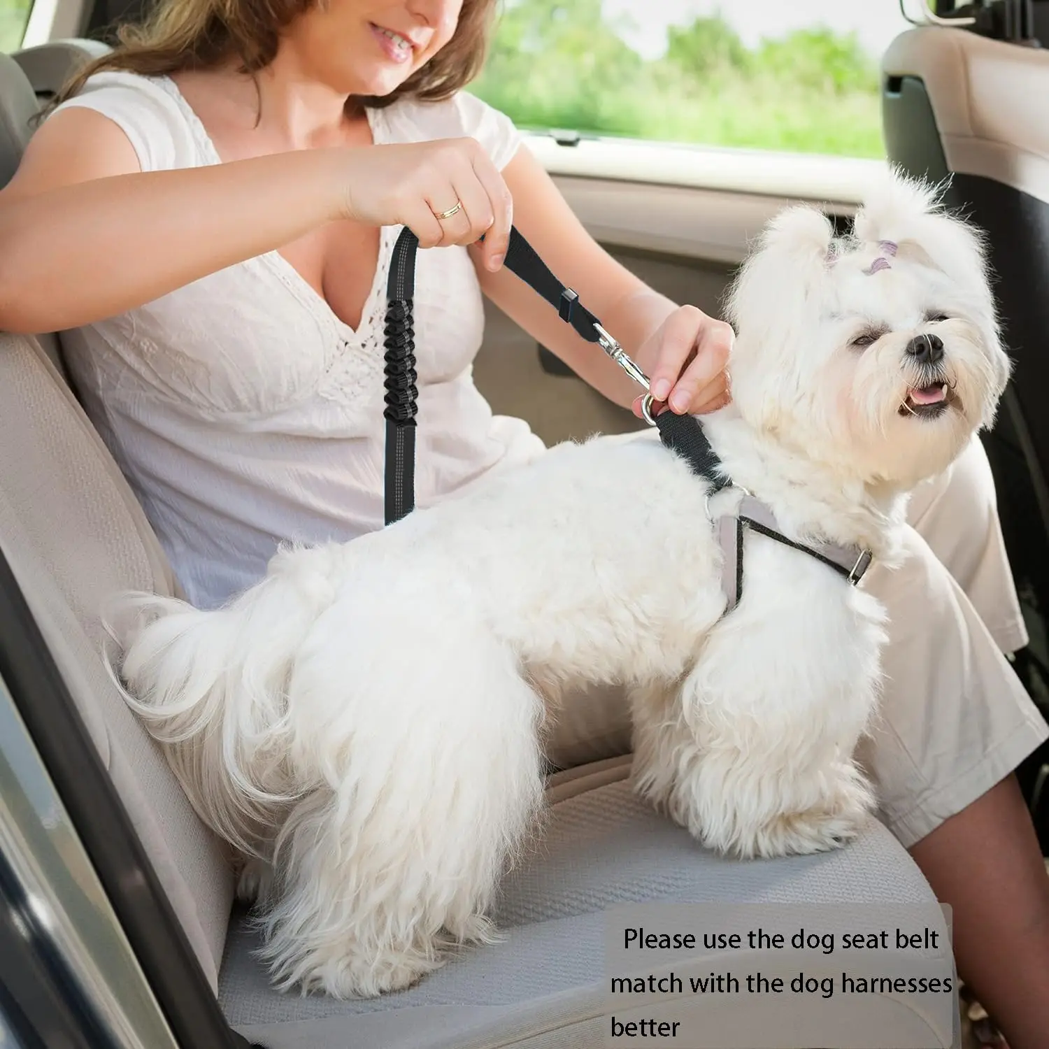 Cinturón de seguridad ajustable para perros grandes en el coche