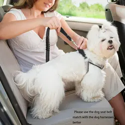 Cinturón de seguridad ajustable para perros grandes en el coche