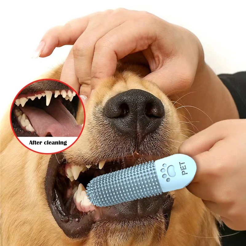 Cepillo de silicona junto a pasta dental para mascotas