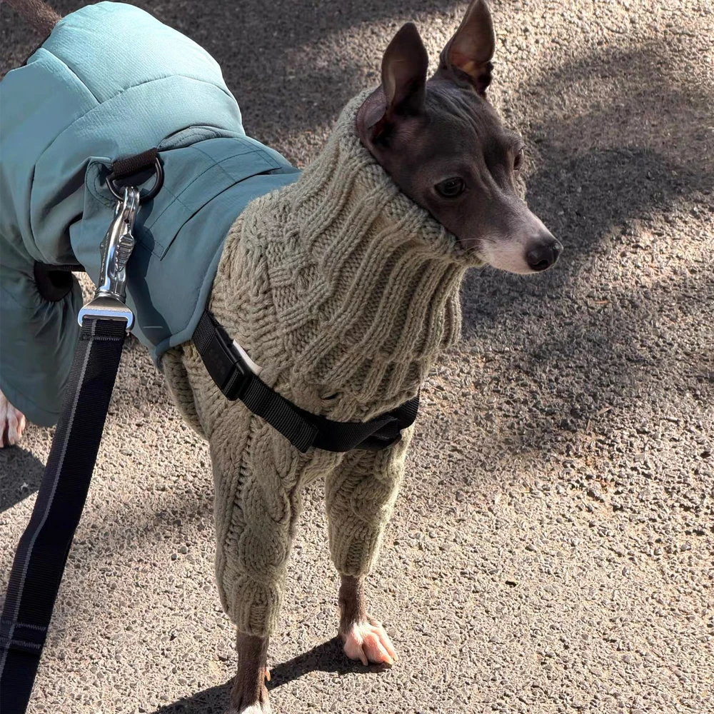 Suéter cuello alto blanco para perros Whippet, Greyhound y Bedlington - imagen 5