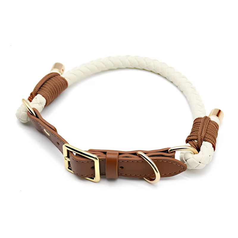 Collar y correa trenzados para perro – Paseo y adiestramiento - imagen 2