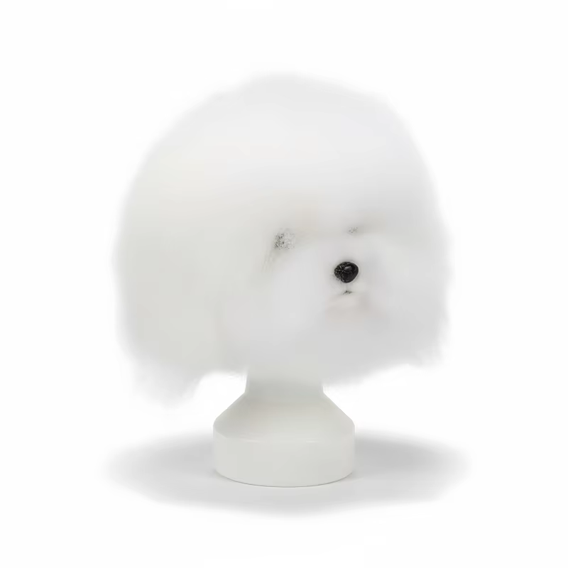 Cabeza práctica peluquería canina – Maniquí realista para entrenar - imagen 5