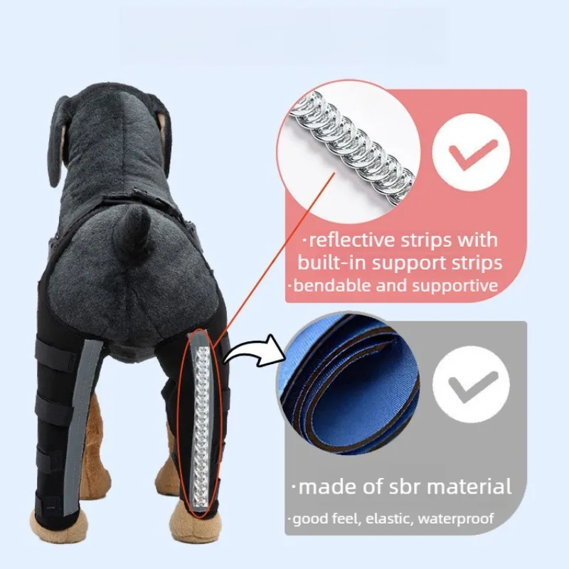 Soporte patas traseras para perros grandes: ayuda al caminar - imagen 2