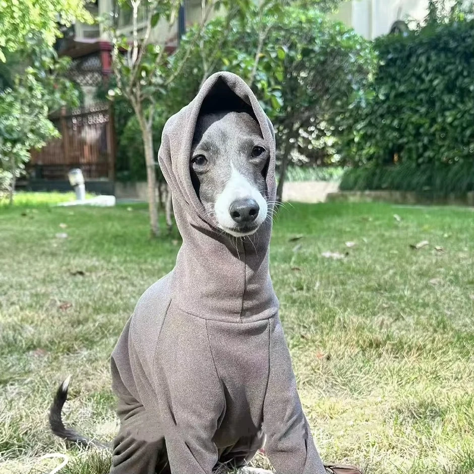 Abrigo verde cálido para Bedlington Terrier