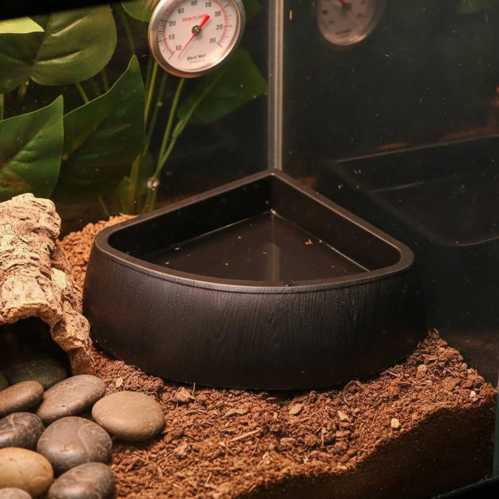 Recipiente de agua para tortugas antideslizante, fácil de limpiar - imagen 2