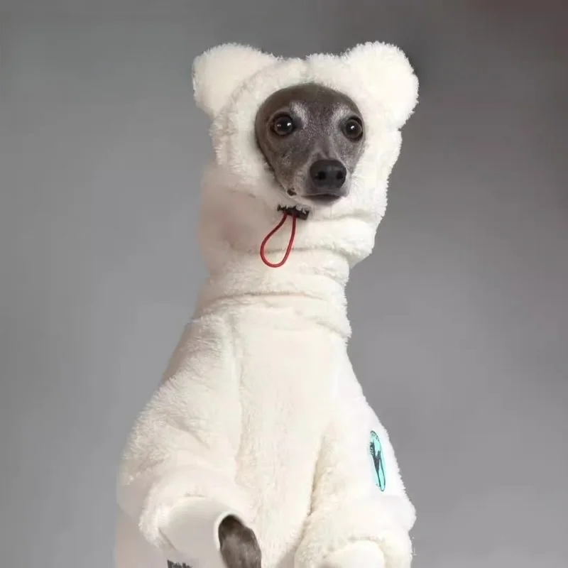 Perro con jersey de felpa gris en un entorno doméstico