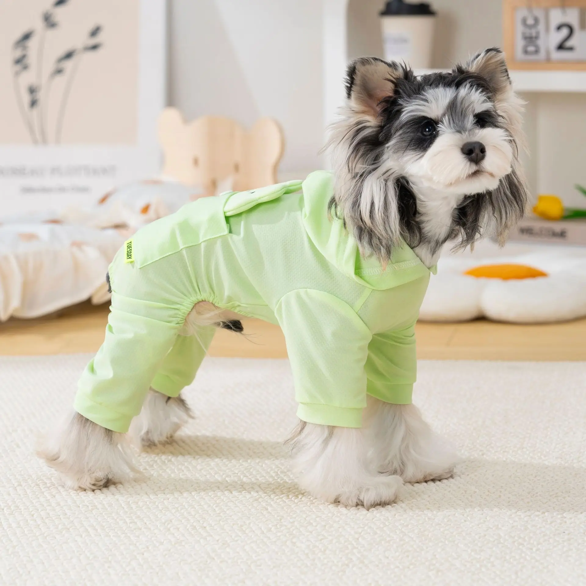 Chaqueta de verano transpirable para perros pequeños Teddy y Schnauzer - imagen 2