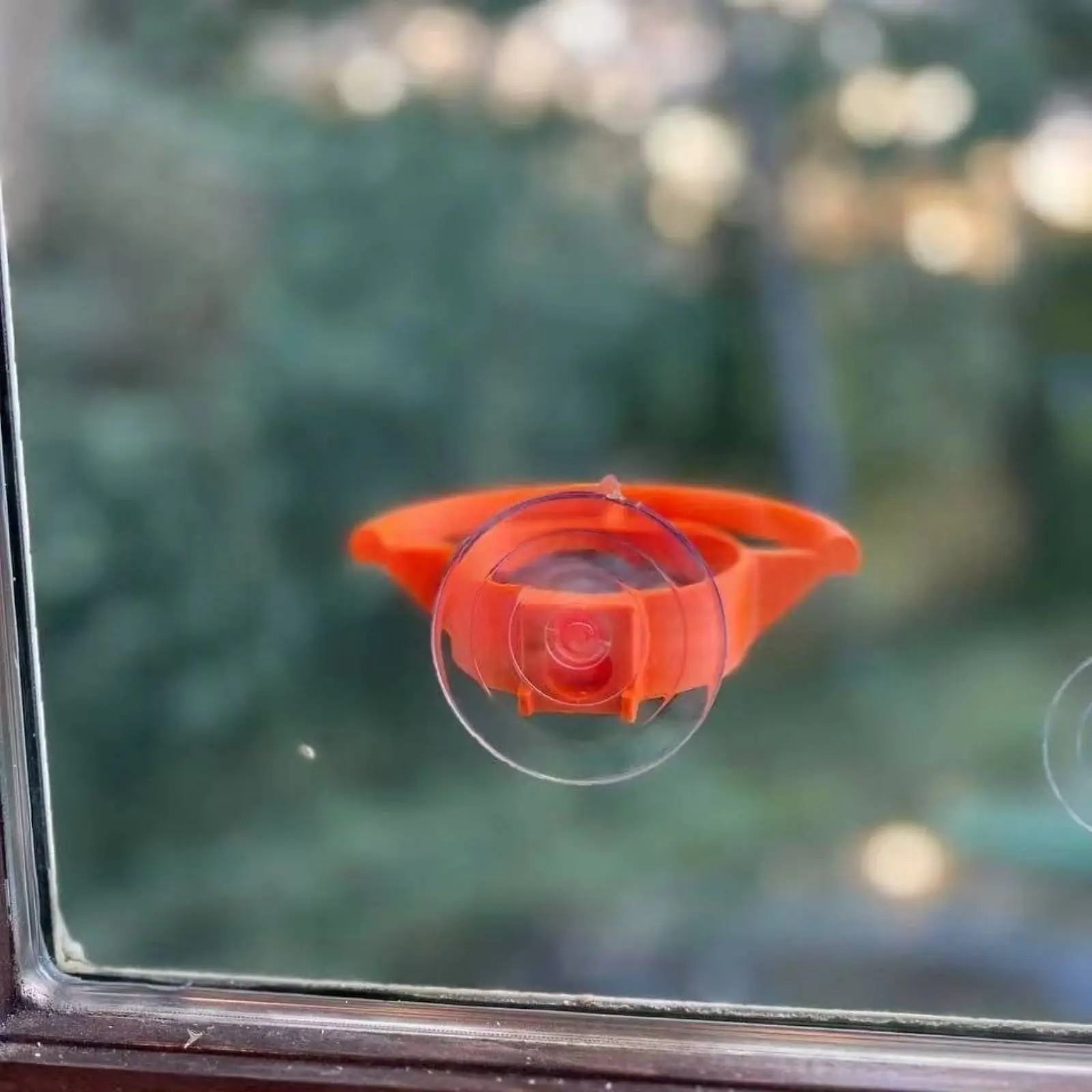 Comedero para aves con soporte de succión para ventana, fácil de limpiar - imagen 3