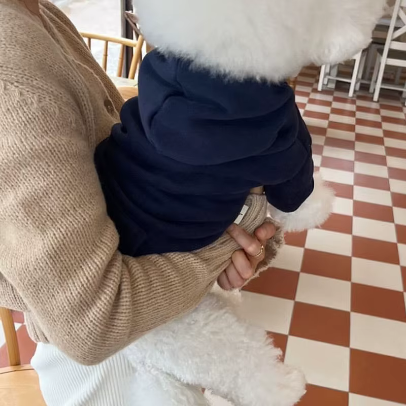 Sudadera con capucha para gatos y perros pequeños – Chihuahua