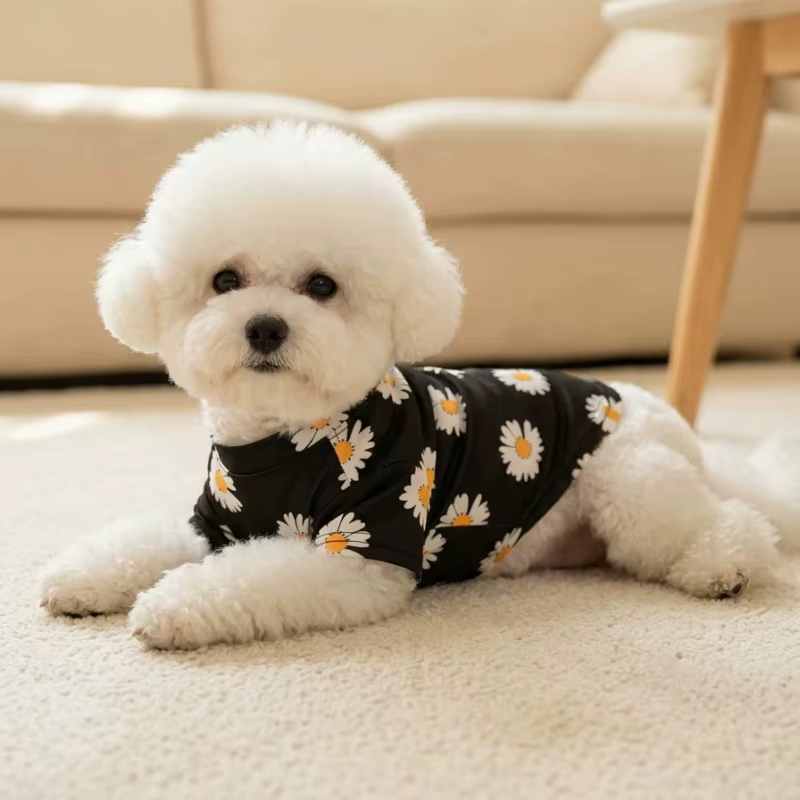 Camiseta con estampado de margaritas para perros pequeños y gatos
