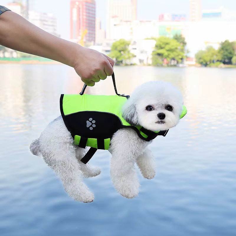 Chaleco salvavidas ajustable para perros con flotador extraíble